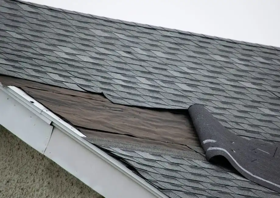 Emergency Roof Leak Repair in Tampa Bay