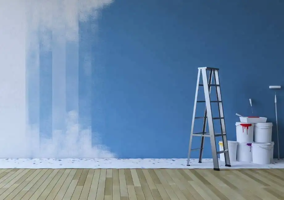 Interior Wall Painting & Color Updates in Tampa Bay