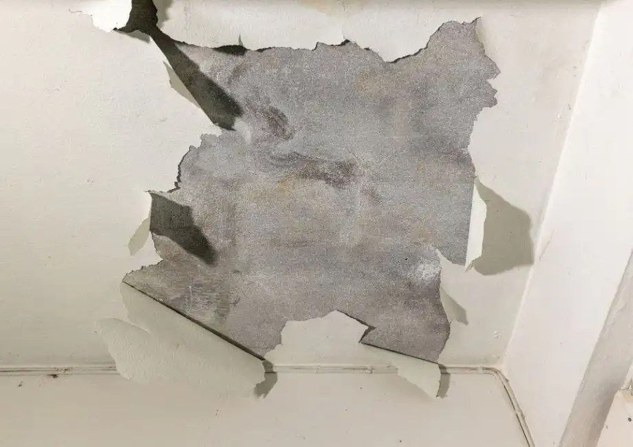Removing Stucco Ceiling in Tampa Bay (1)