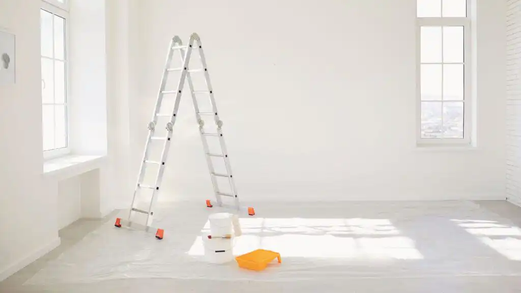 interior house painter near you in tampa bay