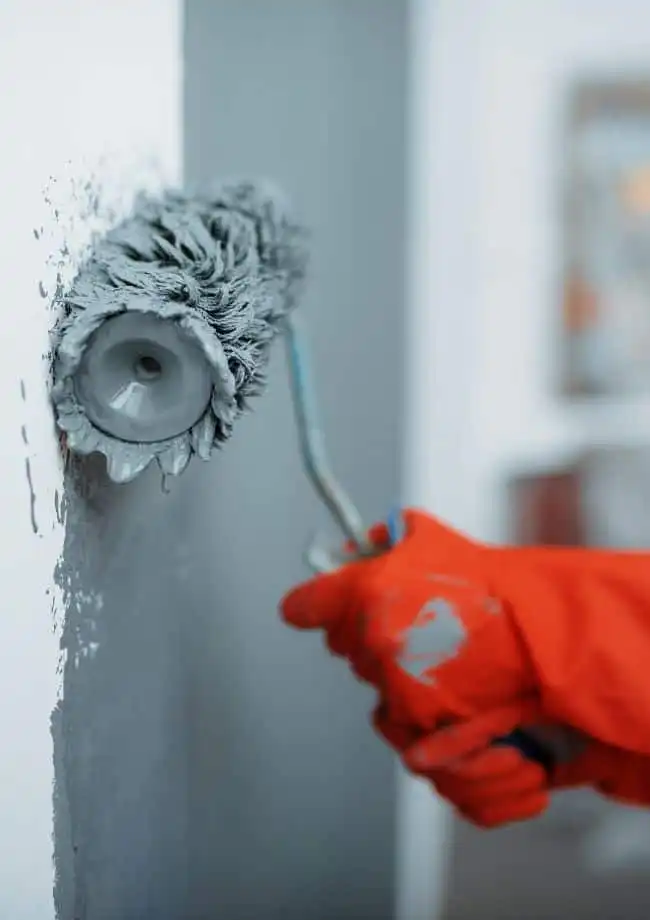 interior house painters in tampa bay