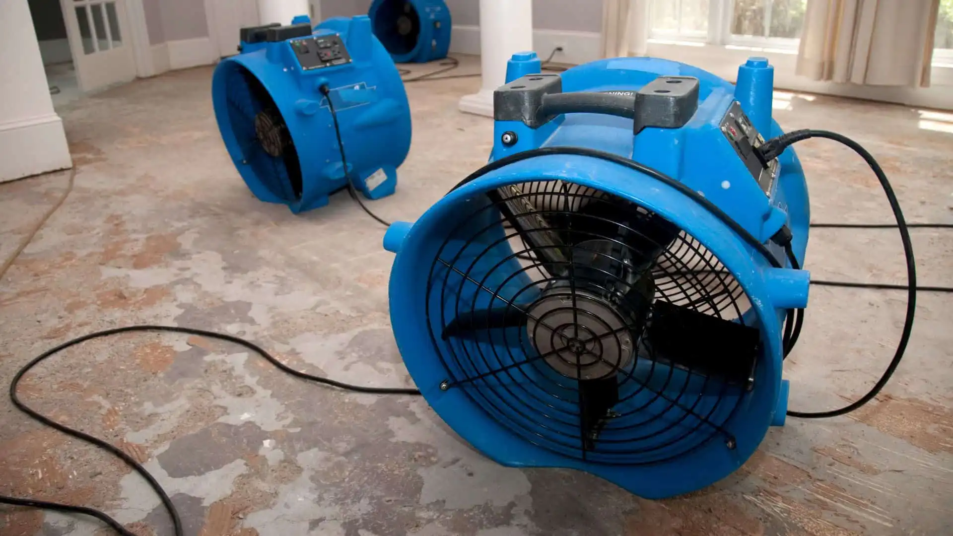 Complete-Drying-Moisture-Control-in-Clearwater, FL