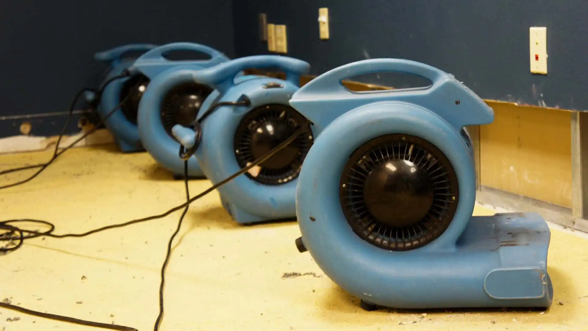 Complete Drying Solutions in Gulfport, FL