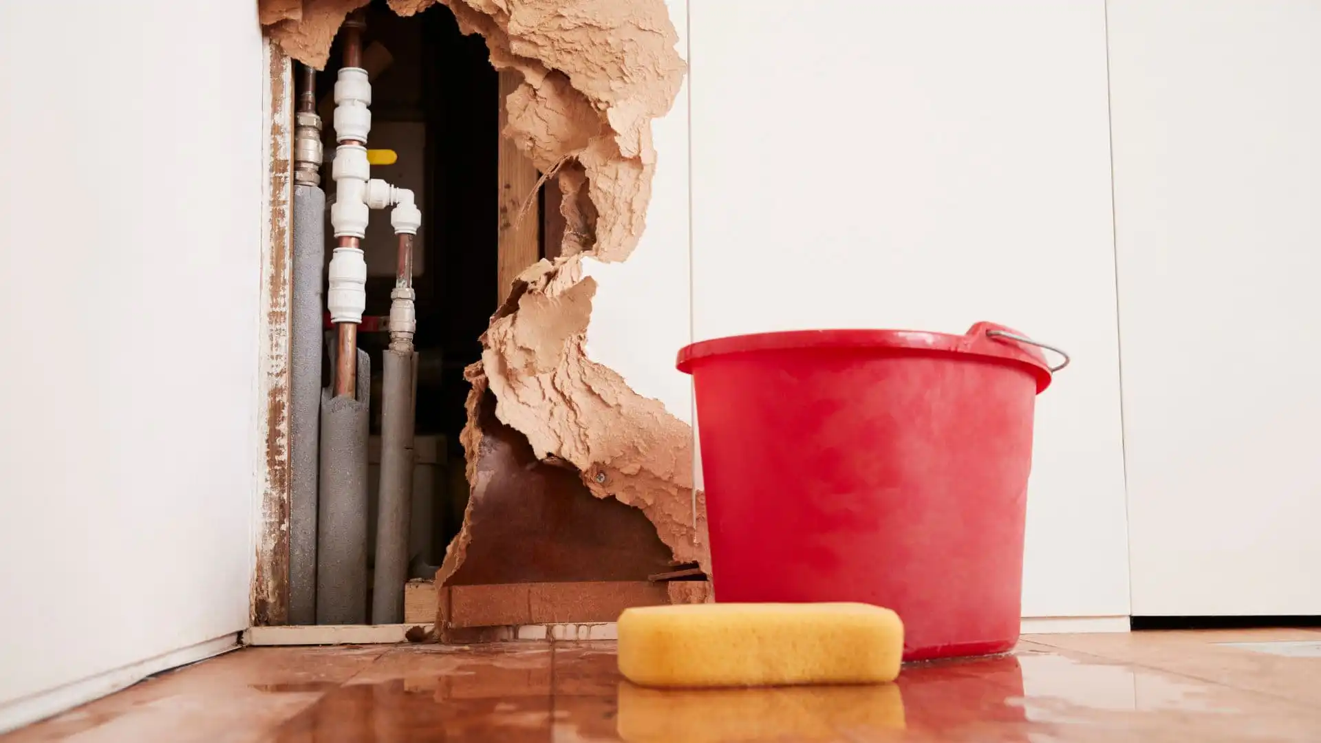 Emergency Water Damage Cleanup in St. Petersburg, FL