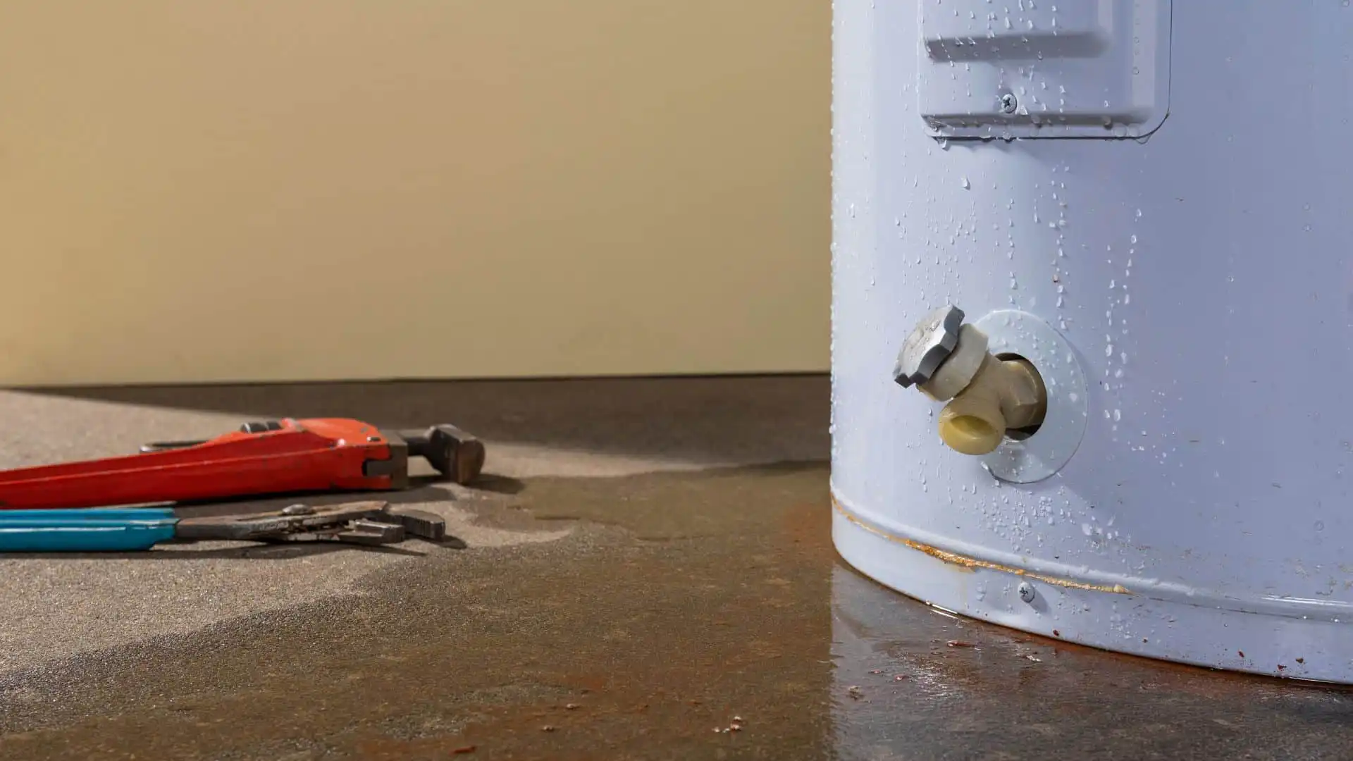 Emergency Water Extraction in Tampa, FL