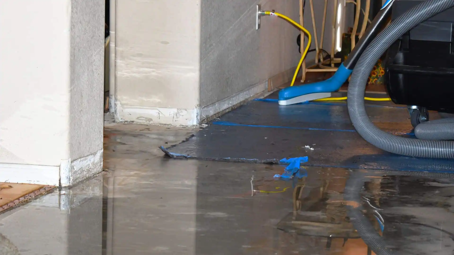 Rapid Water Removal in Clearwater, FL