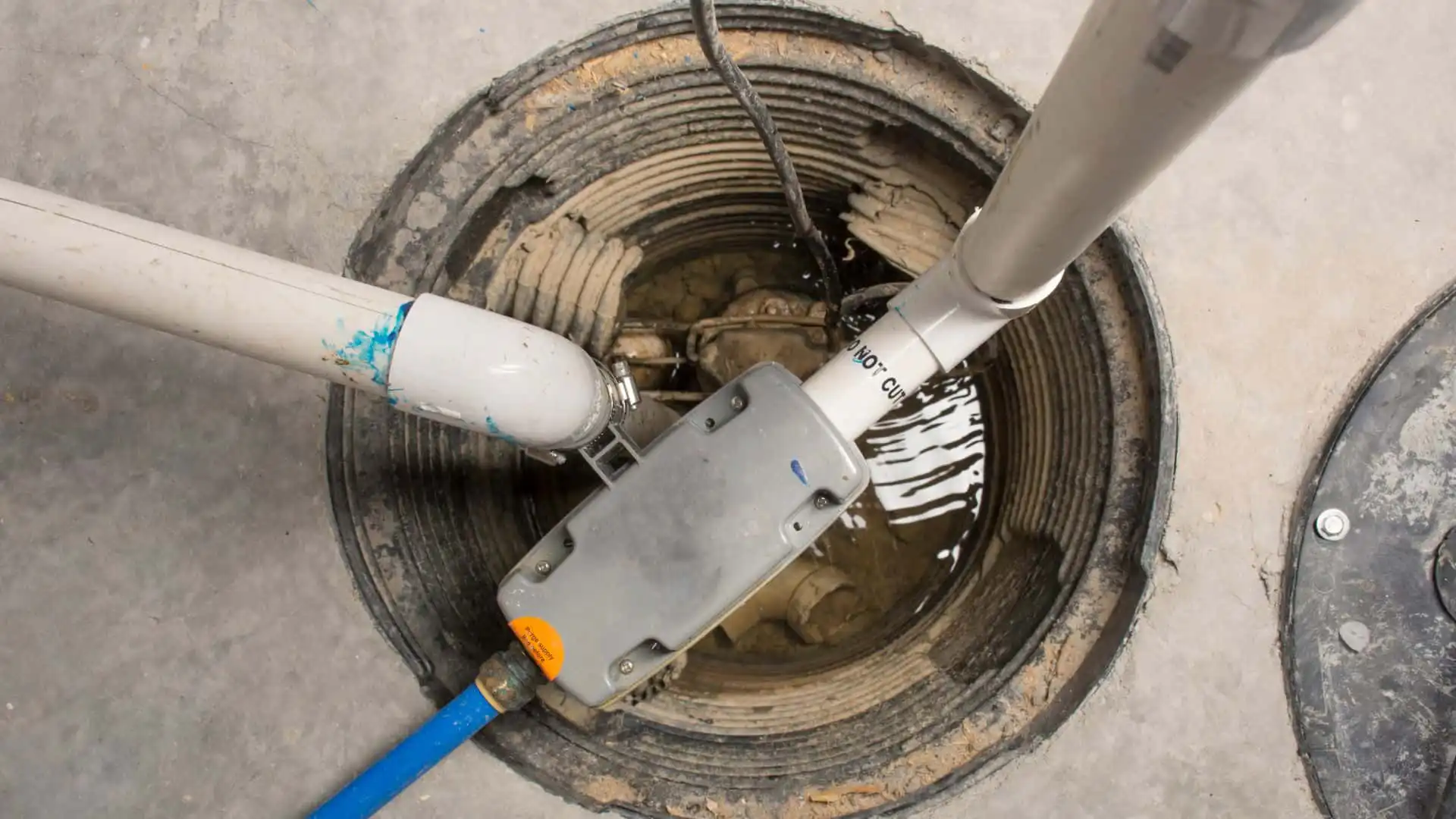 Sewage Backup and Sanitation in St. Petersburg, FL
