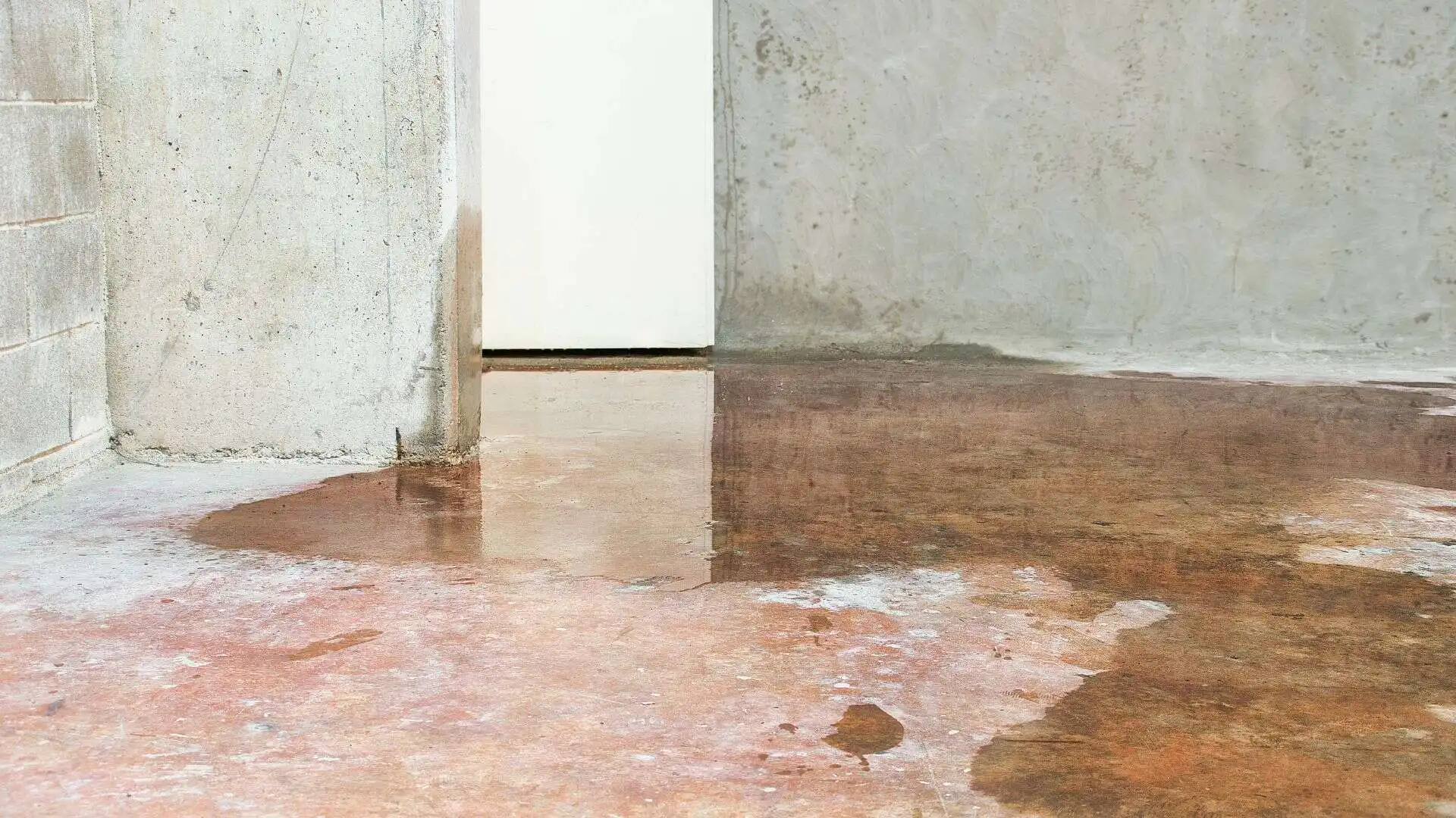 Storm and Flood Damage Restoration in St. Petersburg, FL