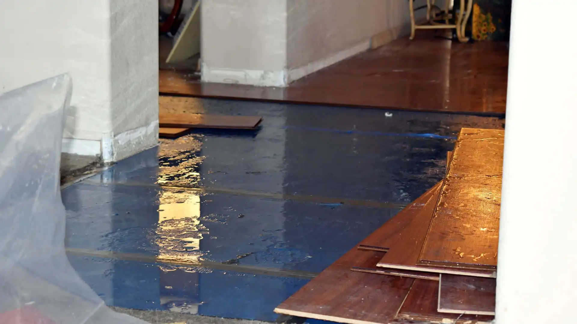 Storm and Flood Damage Restoration in Tampa, FL