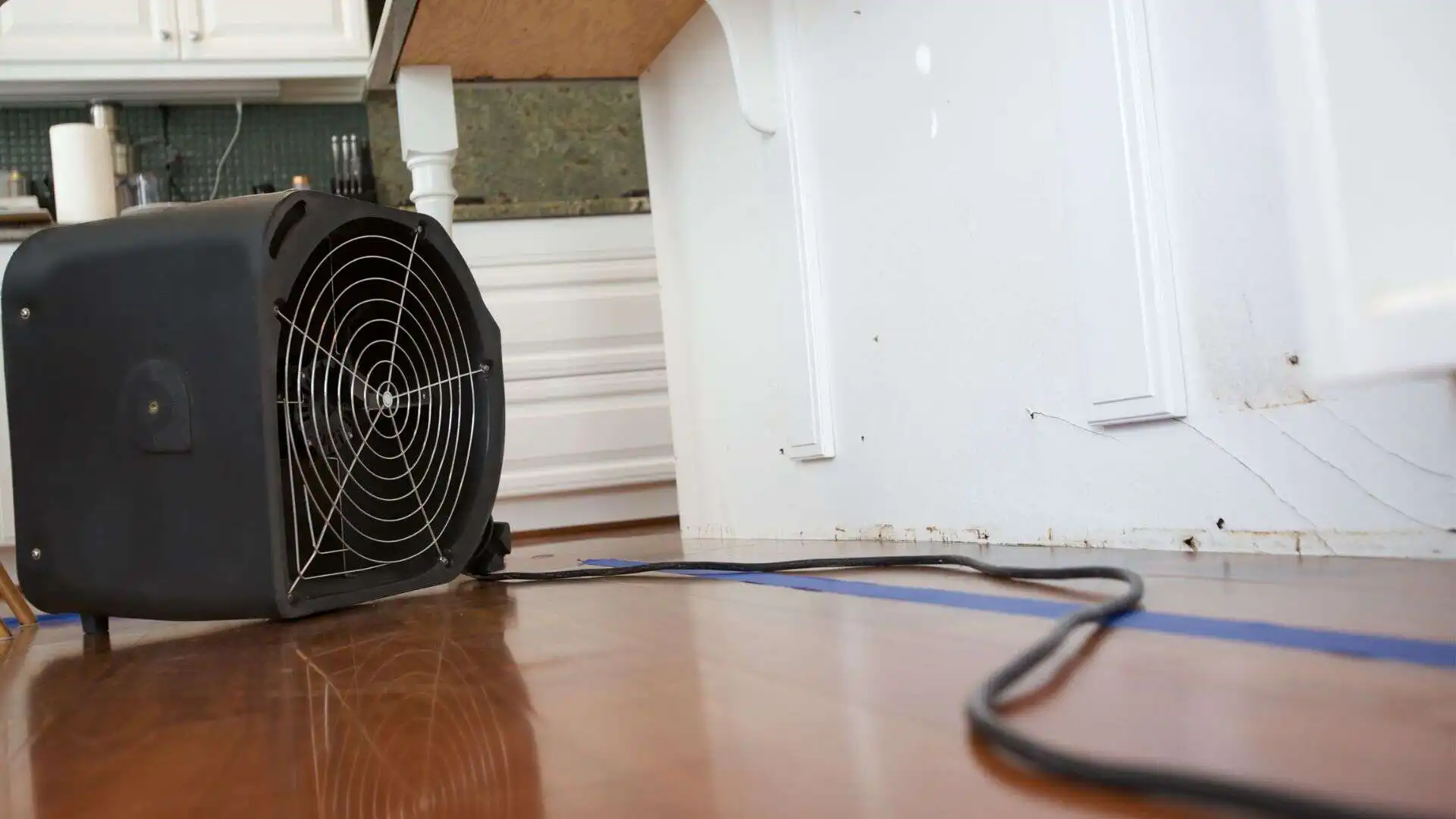 Structural Drying and Dehumidification in Tampa, FL
