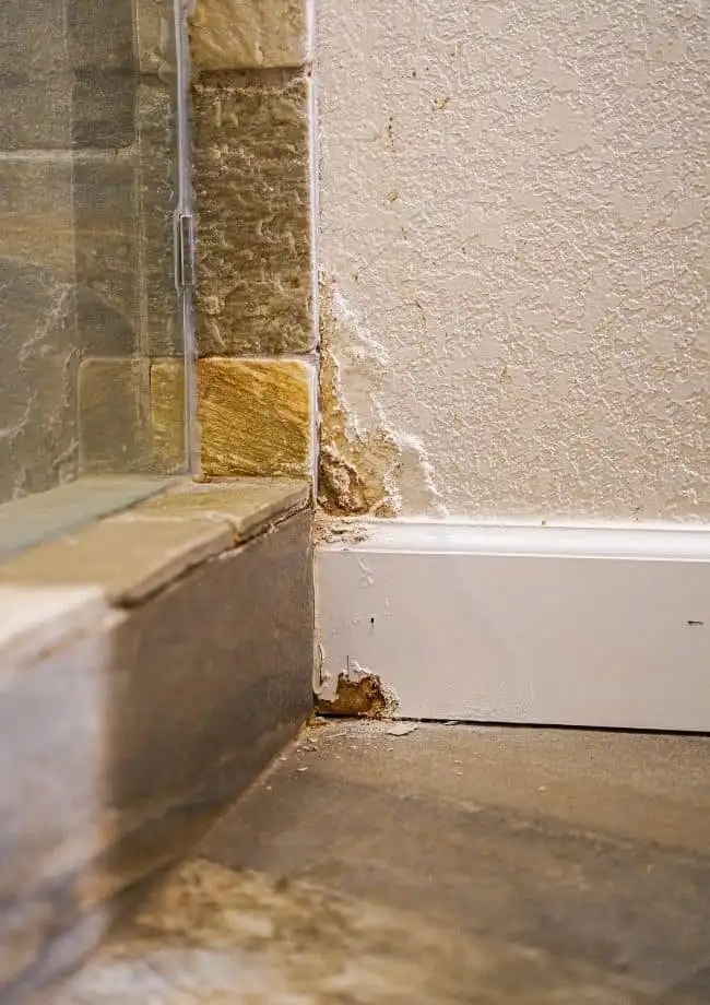 Water Damage Restoration in Tampa, FL