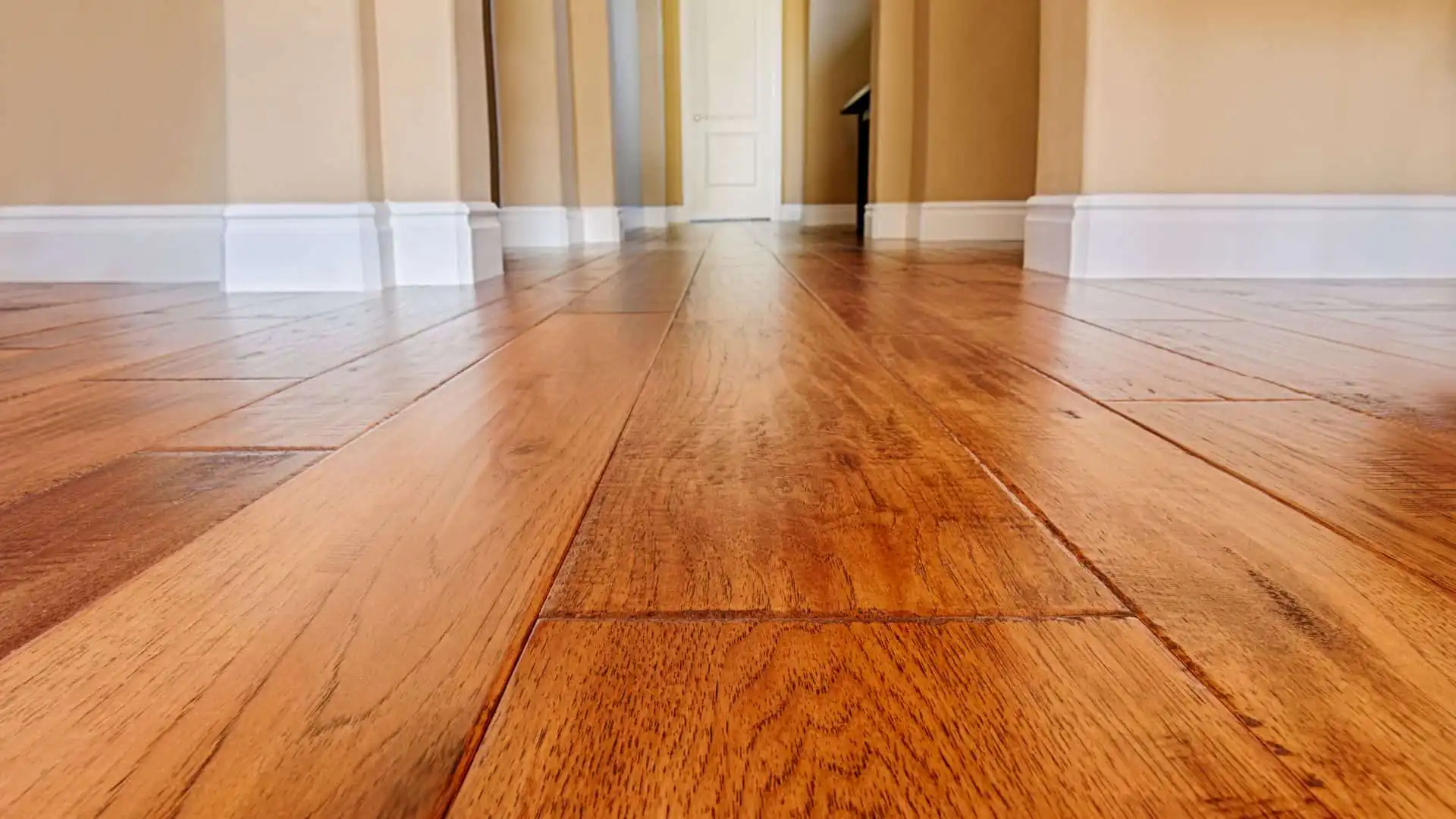 flooring options for humid climates in tampa