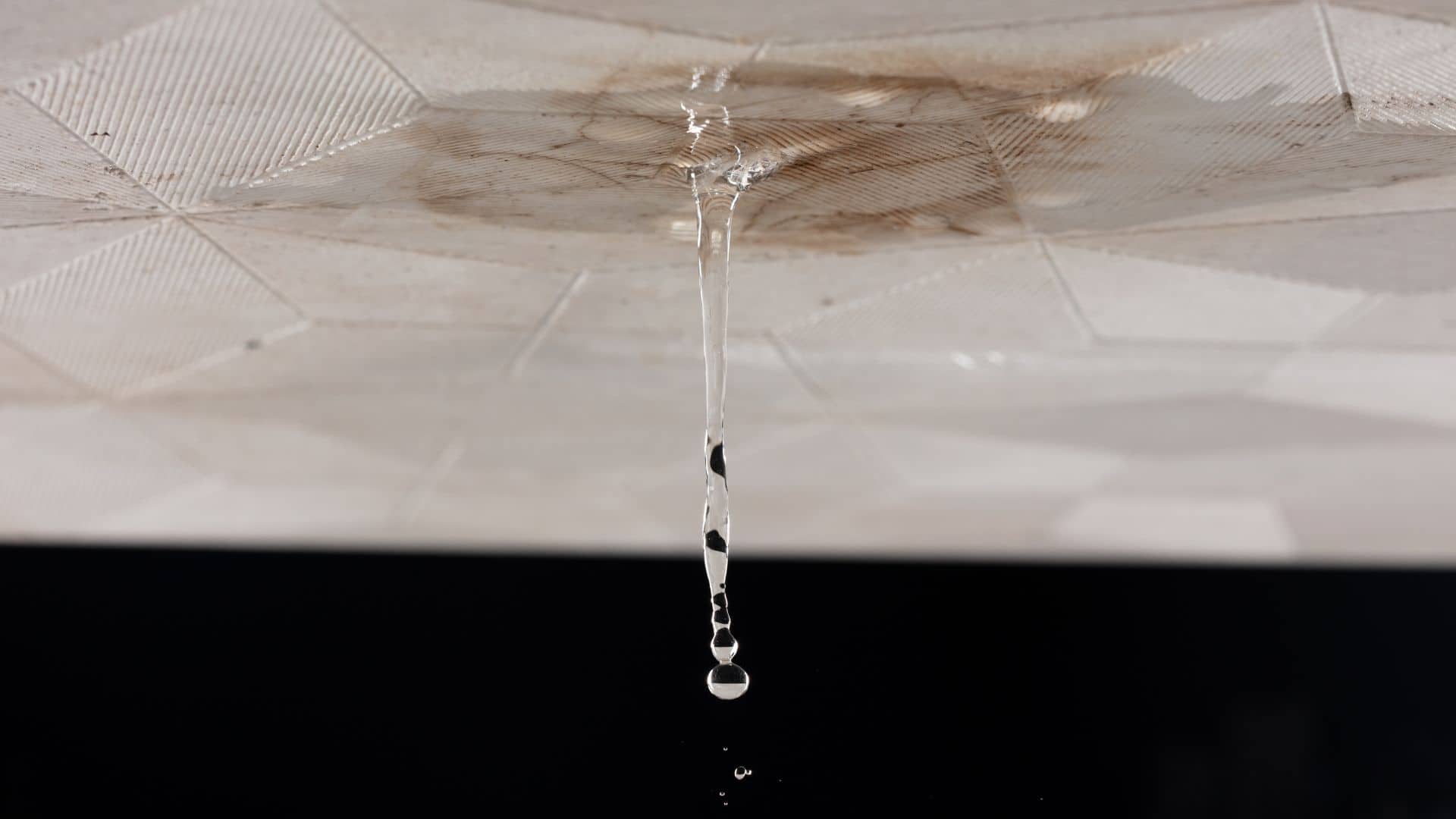 water damage restoration tips in tampa bay, fl