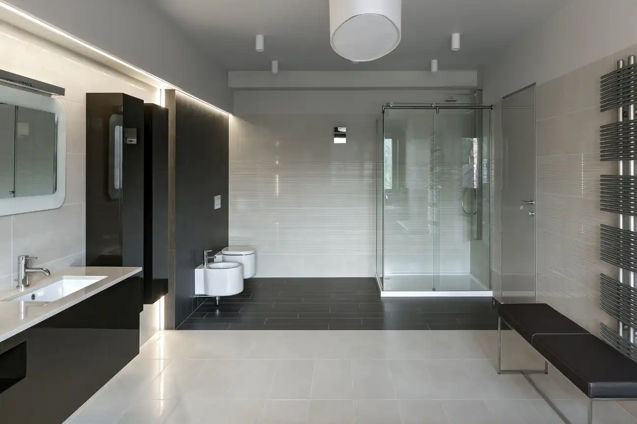Bathroom Remodeling Solutions in Lutz